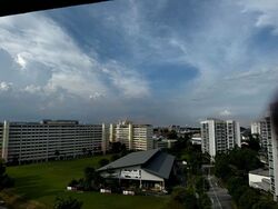 Blk 224 Simei Street 4 (Tampines), HDB 4 Rooms #462873921
